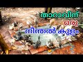 താറാവിന് ഒരു  കുളം ഉണ്ടാക്കുന്നത് എങ്ങനെ?| Duck pond!|ചി ലവ് കുറഞ്ഞ രീതിയിൽ ഒരു  കുളം|Ras videoz