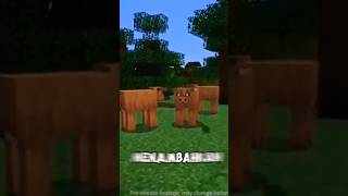 Sapi Baru Di Minecraft !