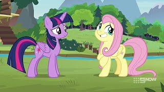 Starlight & Spike Collected Fluttershy's Memories - MLP: Friendship Is Forever (Memnagerie)