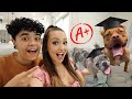 We Tried Testing Our Dogs Intelligence!!! *HILARIOUS*