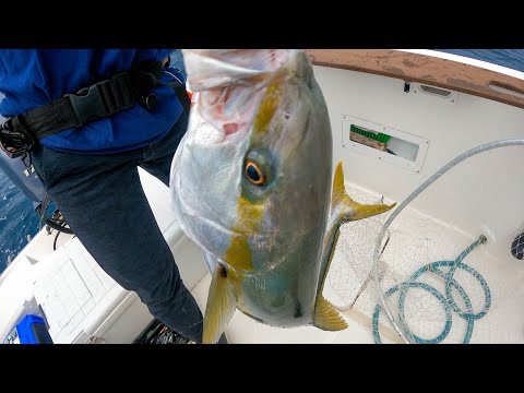 【海釣り】ジギングで青物大漁🐠ヒラマサに高級魚ヤガラ❓福岡玄界灘🎣#002