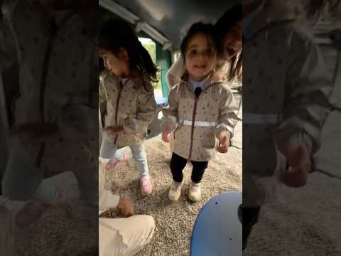 وين اتخبو البنات   فلوجات 