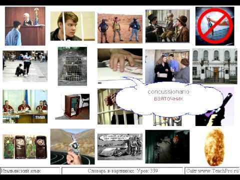 Урок 339 криминал