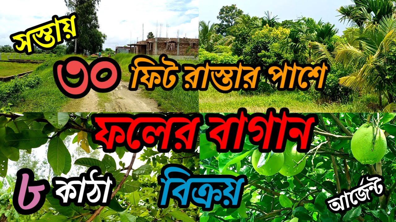 আম, জাম, কাঁঠাল, পিয়ারা, লেবু, নারিকেল, লিচু, জামরুল,  কি নেই ?? বাগান বিক্রয় ।