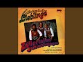 Miniature de la vidéo de la chanson Mein Hintertux