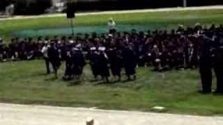 Chickens Graduation Mooning For Sda 2008