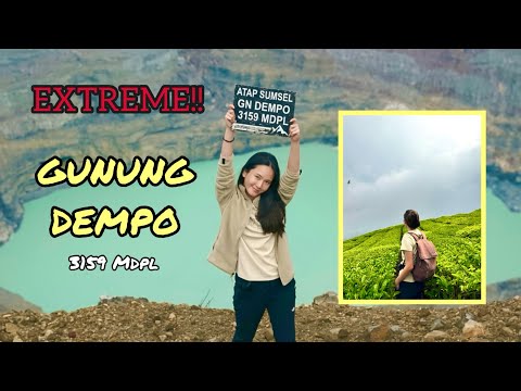 JALUR LUTUT KETEMU JIDAT GUNUNG DEMPO, PAGAR ALAMNYA INDAH BANGET!!