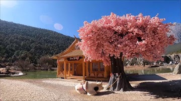 Unreal BLUE MOON VALLEY/蓝月谷 | Jade Dragon Snow Mountain National Park