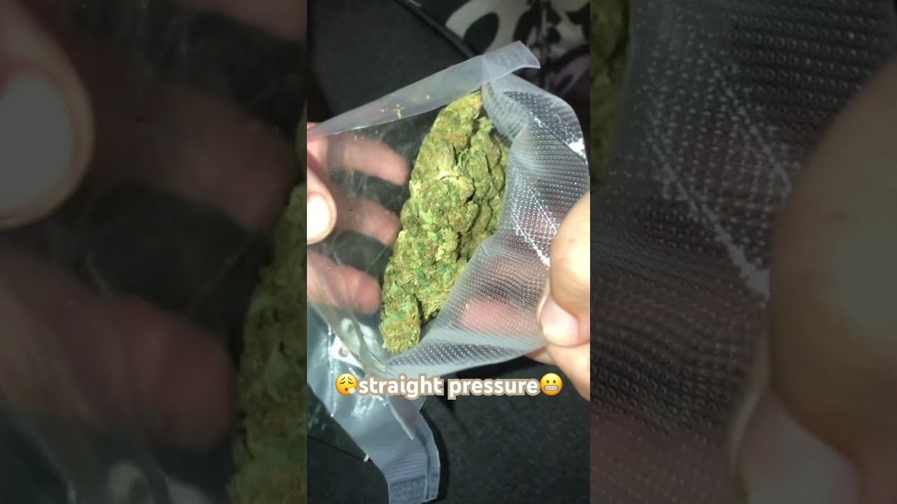  35 Smalls And Mini Ounce Box Review Of OG Kush Gas Or Trash