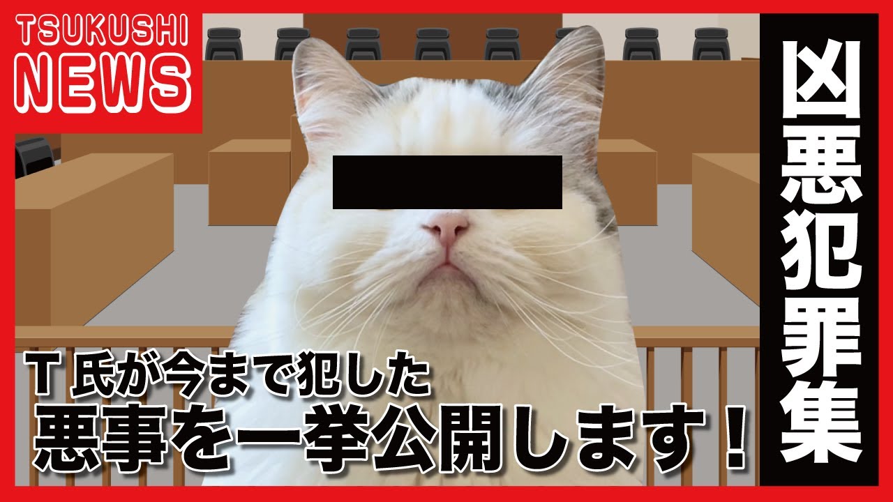 A heinous crime committed by a certain cat YouTuber is