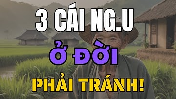 Về Già, 3 Cái Ngu Ở Đời Nên Tránh Càng Xa Càng Tốt!
