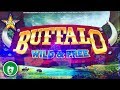 ⭐️ New - Buffalo Wild & Free WA VLT slot machine, bonus ...