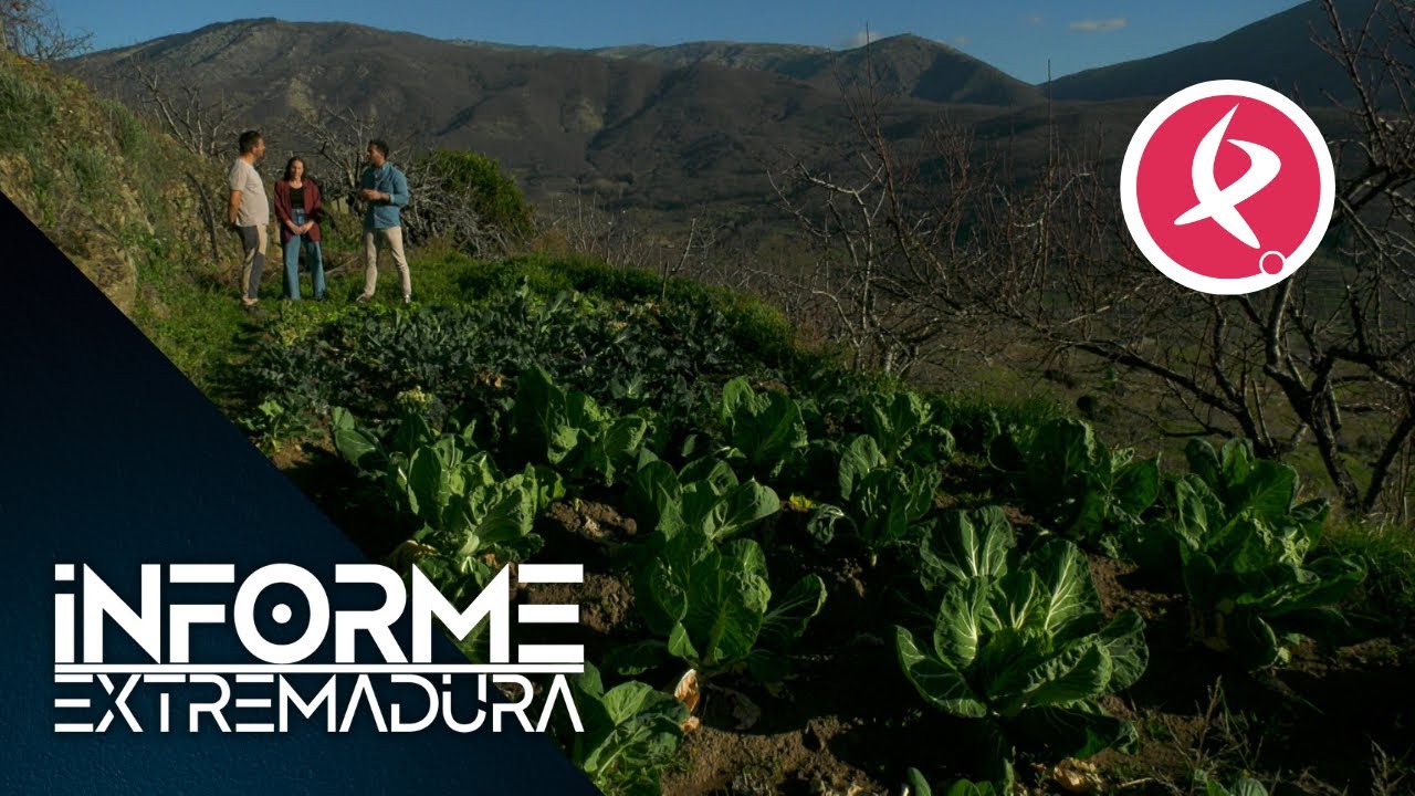 Así es la casa rural 100% autosuficiente en pleno Valle del Jerte| Informe Extremadura