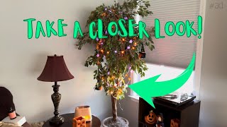 70 LED Pumpkin Ghost String Lights Orange Purple Halloween String Lights with Timing Function Review