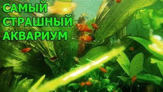 Самый страшный аквариум на земле