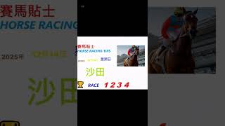 香港賽馬貼士 HONG KONG HORSE RACING TIPS