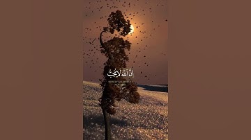 قرآن كريم بصوت جميل #قران_كريم #راحة_نفسية #quran #قرآن #اكسبلور