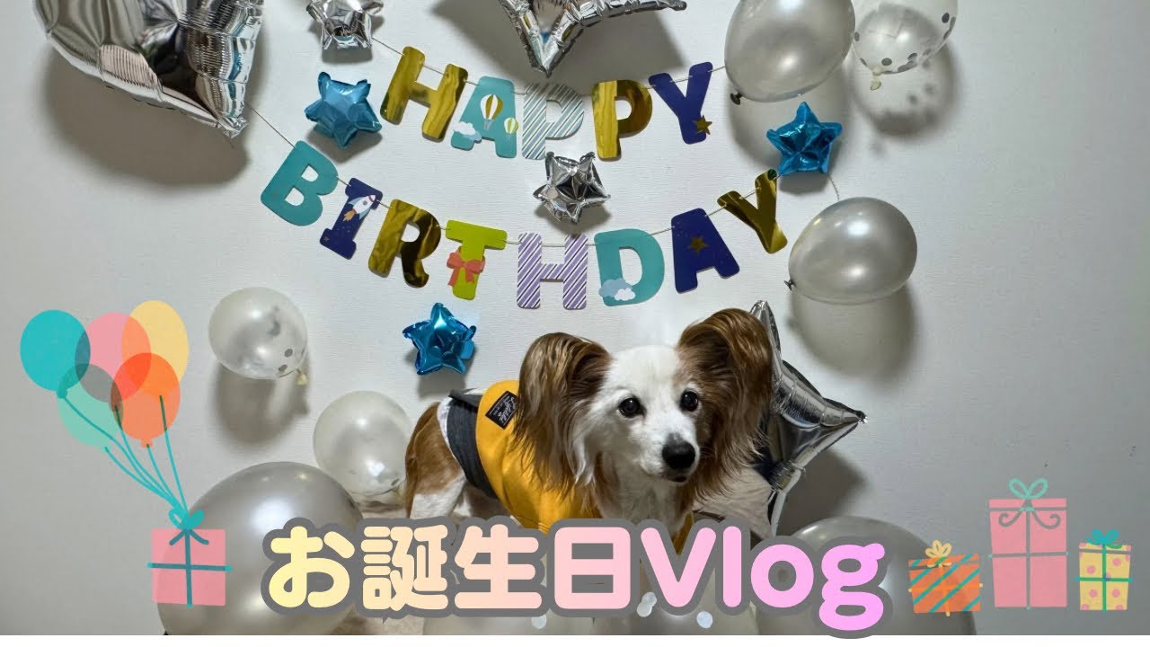 【パーティー】お誕生日Vlog【15歳】