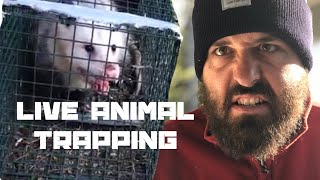 Catching World’s Biggest Ugliest Meanest Possum, Trapping Raccoons And Possums | Fix-It Fisher Ep. 5