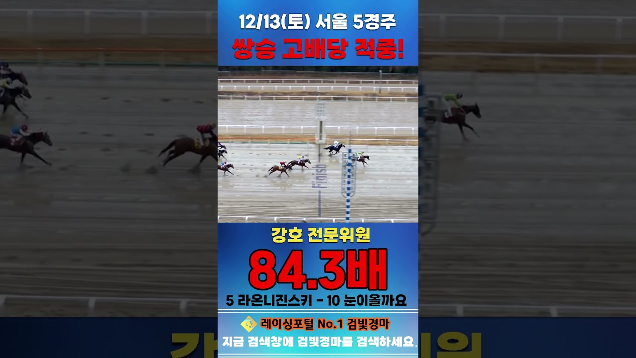 [서울 경마] 12월 13일 토요 5경주 강호 전문위원 쌍승 고배당 적중 #경마 #한국마사회 #하이라이트 #고배당 #검빛 #코리아
