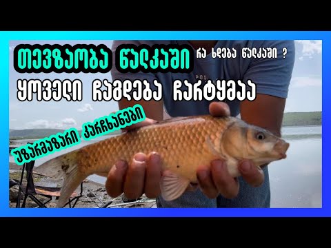 თევზაობა წალკაში | ყოველი ჩაგდება ჩარტყმააა 😮| უზარმაზარი კარჩხანები