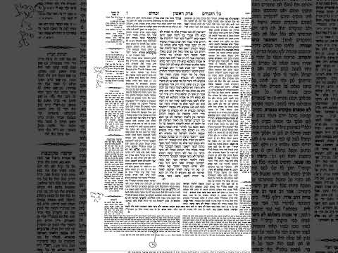 דף היומי זבחים דף ו הרב ספטמוס