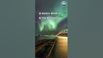 Can You Answer This? #shorts #quiz #aurora