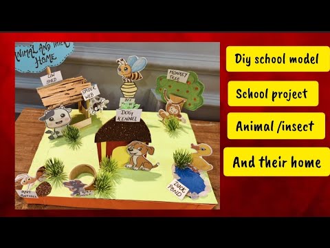Diy school model of animal/insect and their home | still model | Easy ...