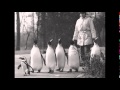 Der erste Pinguinspaziergang im Zoo Basel