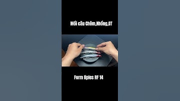 Mồi câu cá Chẽm,Nhồng,GT #caulure #fishing #caucathugian #fish #lurefishing