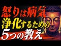 【怒れば失う】「賢い無視」で心のマスターになれ!|もう怒りに振り回されないためのブッダの教え