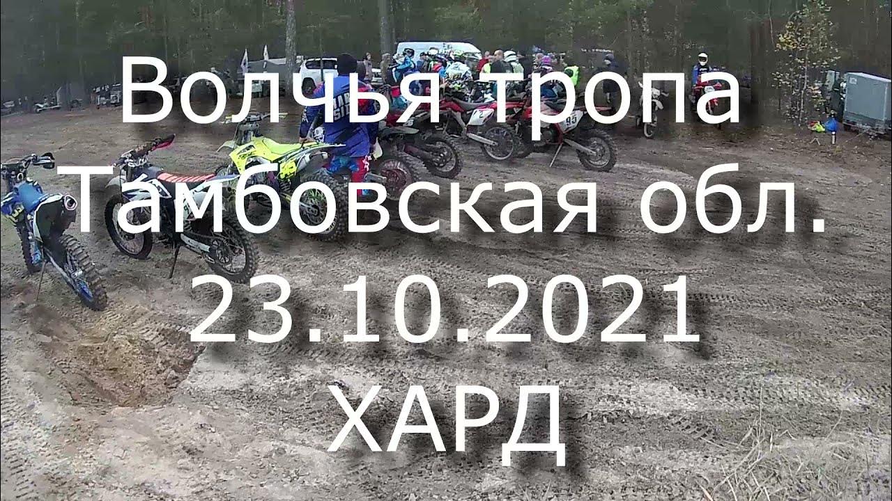 Эндуро тропа. Волчья тропа. Волчья тропа тамбов. Эндуро 23. Эндуро тропа.