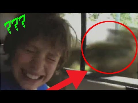 Cryptids Are Real and Weird World Promos (Secret Saturdays) Cryptids Are Real and Weird World Promos (Secret Saturdays)