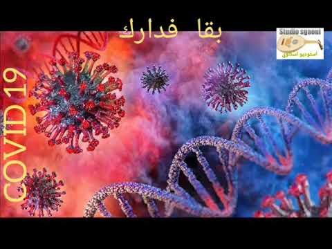 اسكاوي كورونة ضهرت