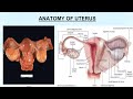 Histopathology Uterus and Cervix Grossing Procedure | Step-by-Step Guide