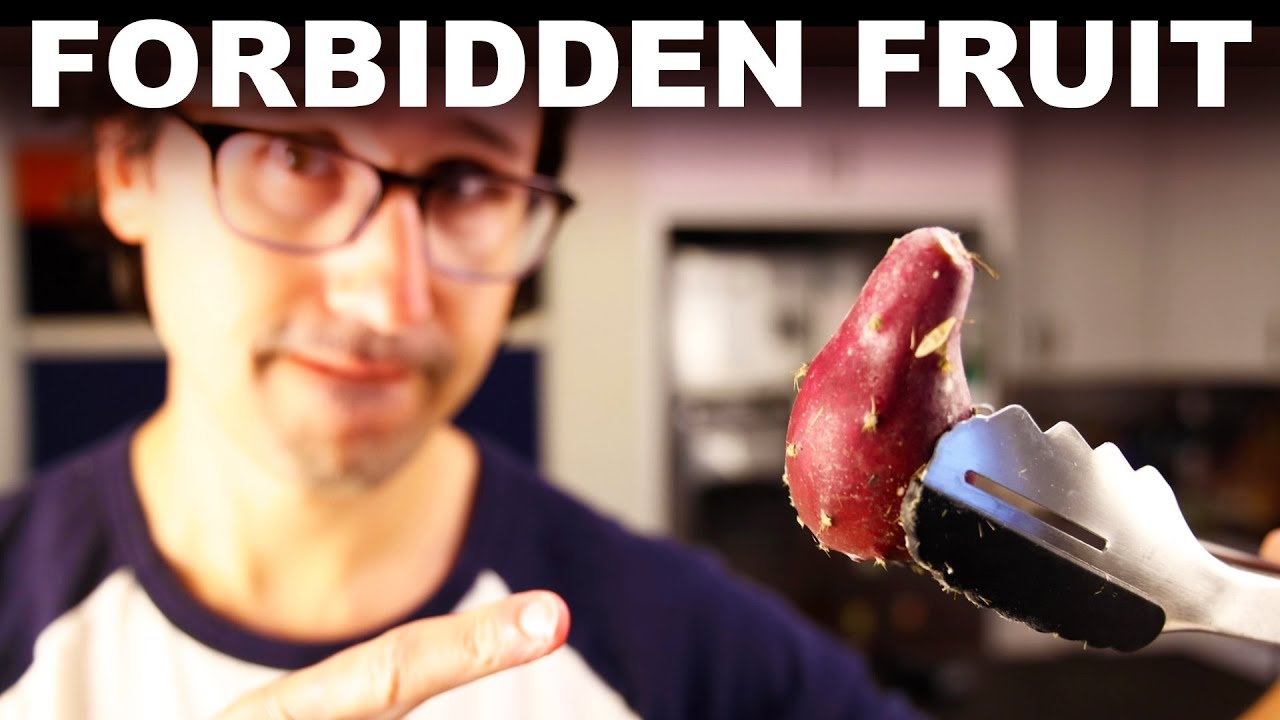 How to eat cactus without impaling yourself, on YouTube