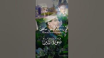 سورة التين والزيتون عبد الباسط #اكسبلور #المصحف #قرآن #قران_كريم