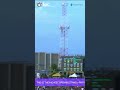Rahmanullah Gurbaz FIREWORKS to start the chase! 🎇
