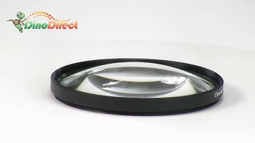 67mm Macro Close-Up +10 Lens Filter for Digital Camera  from Dinodirect.com