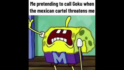 Me threatening to call goku when the cartel threatens me