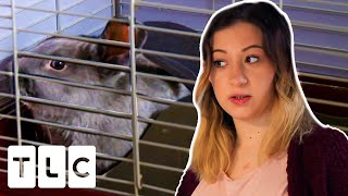 Famous Pregnant Teen Is Forced To Choose Between Her Rabbit And Her Baby | Unexpected Profile