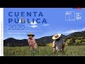 Cuenta Pública 2020 - Oficina de Estudios y Políticas Agrarias - Odepa