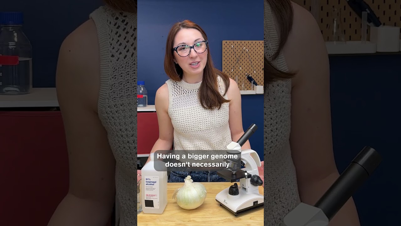 Onions Under a Microscope | Genes in Action