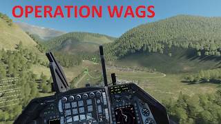 OPERATION WAGS -  flying Bluefor