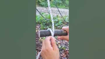 The Most Satisfying Video of All Time #asmr #asmrsounds #satisfying #satisfyingvideo #relaxing #calm