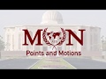 MUN Points and Motions
