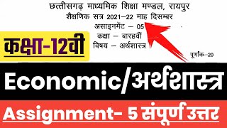 cg board assignment class 12 december/cg board assignment 5 class 12th economics pdf December