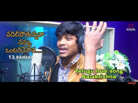 VADILIPOTHUNAVANANNOTARI CHESAVA BALAKRISHNASUPER HIT TELUGU NEW SONG