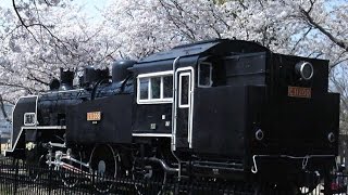 ダウンタウンブギウギバンド　裏切り者の旅　弾いてみました
