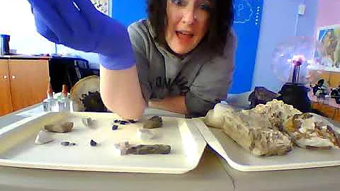 Quarantine Lesson 1: Rocks and Minerals